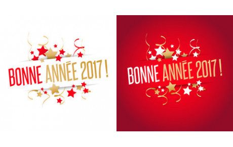 MEILLEURS VŒUX 2017 !!